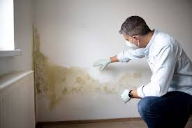  Kdeer, IL Mold Removal & Remediation Pros